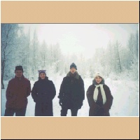 Белоснежные ели
